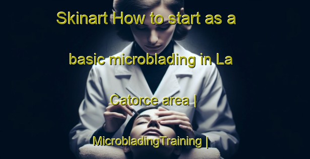 Skinart How to start as a basic microblading in La Catorce area | MicrobladingTraining | MicrobladingClasses | SkinartTraining-Mexico